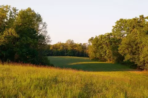3685 Martin Ervin Rd, Santa Fe, TN 38482