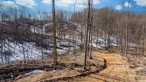 0 Singleton Rd, Dickson, TN 37055 photo 29