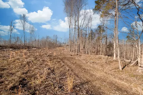 0 Singleton Rd, Dickson, TN 37055 photo 7