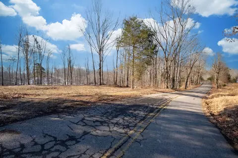 0 Singleton Rd, Dickson, TN 37055 photo 4
