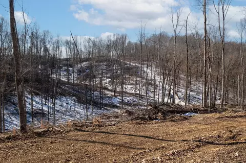 0 Singleton Rd, Dickson, TN 37055 photo 53