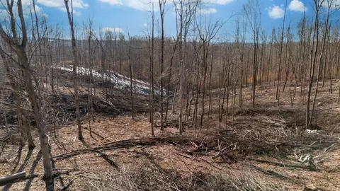 0 Singleton Rd, Dickson, TN 37055 photo 16
