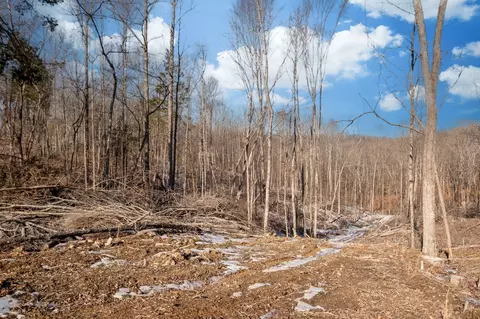 0 Singleton Rd, Dickson, TN 37055 photo 31