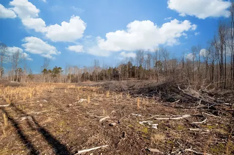 0 Singleton Rd, Dickson, TN 37055 photo 37