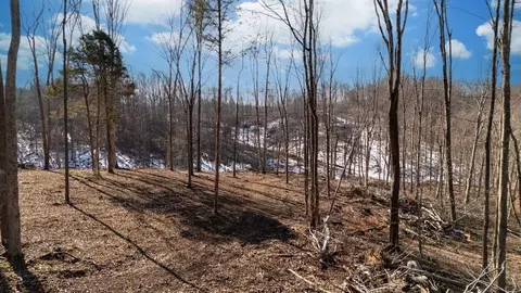 0 Singleton Rd, Dickson, TN 37055 photo 23