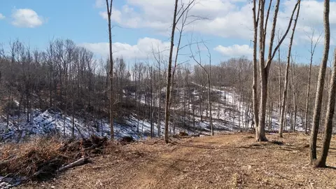 0 Singleton Rd, Dickson, TN 37055 photo 26