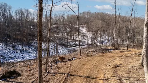 0 Singleton Rd, Dickson, TN 37055 photo 27