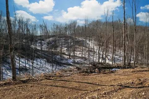 0 Singleton Rd, Dickson, TN 37055 photo 52