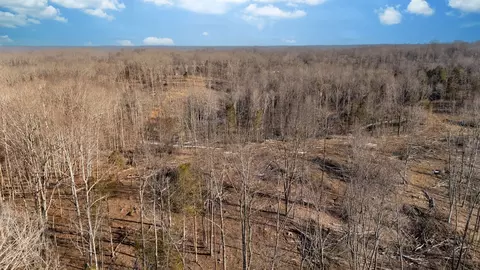 0 Singleton Rd, Dickson, TN 37055 photo 5