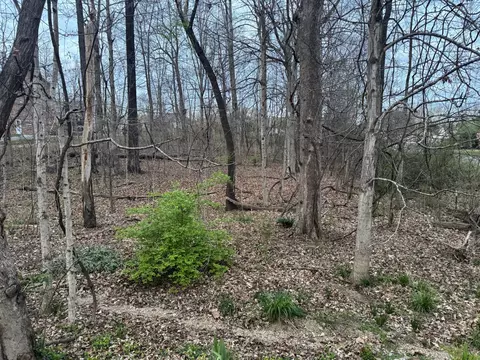 0 Canary Dr, Dickson, TN 37055
