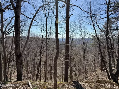 0 Cumberland Cove Rd, Monterey, TN 38574