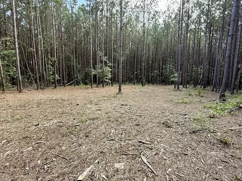 191 Seiber Ridge Rd, Hohenwald, TN 38462