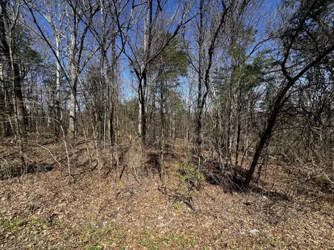 0 Anderson Ln, Chapel Hill, TN 37034