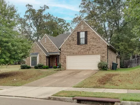 8330 Windersville Dr, Memphis, TN 38133