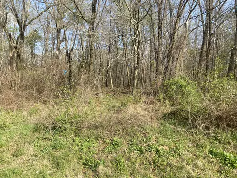 0 Mountain View Dr, Morrison, TN 37357 photo 8