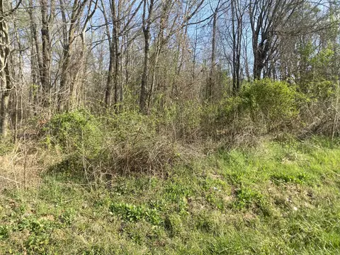 0 Mountain View Dr, Morrison, TN 37357 photo 6