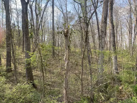 0 Mountain View Dr, Morrison, TN 37357 photo 2