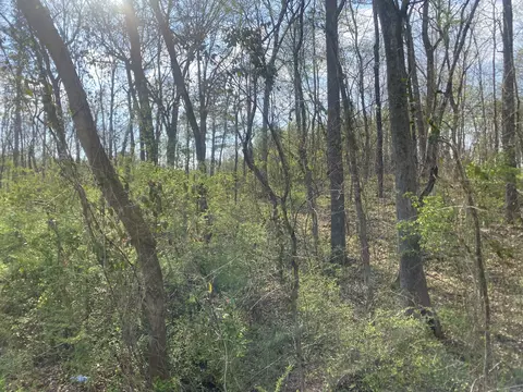 0 Mountain View Dr, Morrison, TN 37357 photo 10