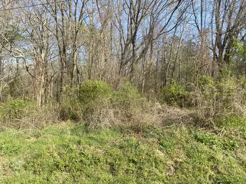 0 Mountain View Dr, Morrison, TN 37357 photo 4