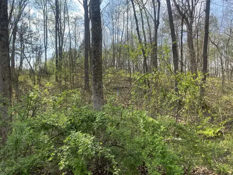 0 Mountain View Dr, Morrison, TN 37357 photo 11