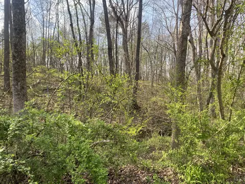 0 Mountain View Dr, Morrison, TN 37357 photo 5