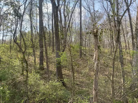 0 Mountain View Dr, Morrison, TN 37357 photo 9