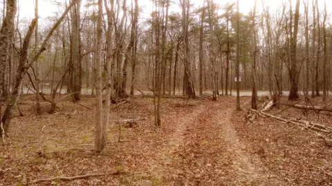 1188 Timberwood Trce, Monteagle, TN 37356