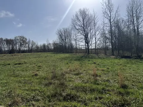 6080 Durhamville Rd, Ripley, TN 38063