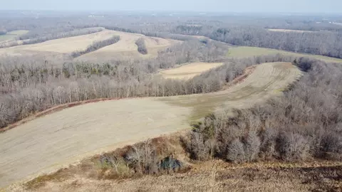 10000 Bugtussle Rd, Fountain Run, KY 42133