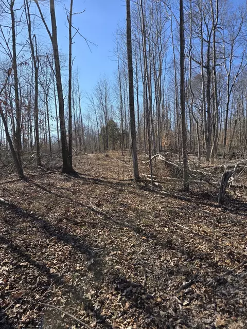0 Honey Fork Rd, Indian Mound, TN 37079