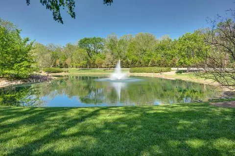 View/Area - 283 Noah Dr, Franklin, TN 37064 photo 8 of 8