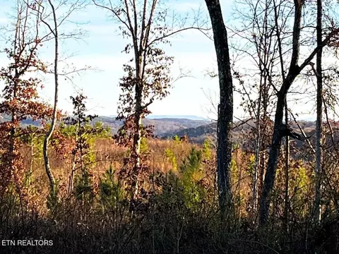 1675 Euchee Rd, Ten Mile, TN 37880