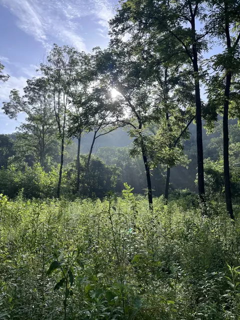 100 Henley Rd, Ashland City, TN 37015