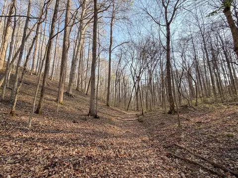 620 Piney Rd, Dickson, TN 37055 photo 26