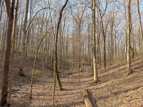 620 Piney Rd, Dickson, TN 37055 photo 24