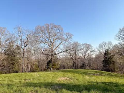 620 Piney Rd, Dickson, TN 37055 photo 15