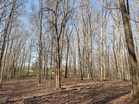 620 Piney Rd, Dickson, TN 37055 photo 41