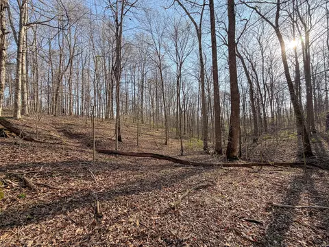 620 Piney Rd, Dickson, TN 37055 photo 39
