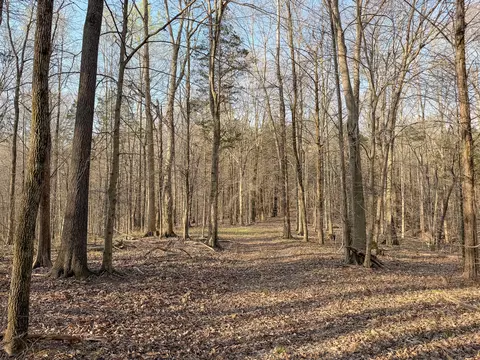 620 Piney Rd, Dickson, TN 37055 photo 25