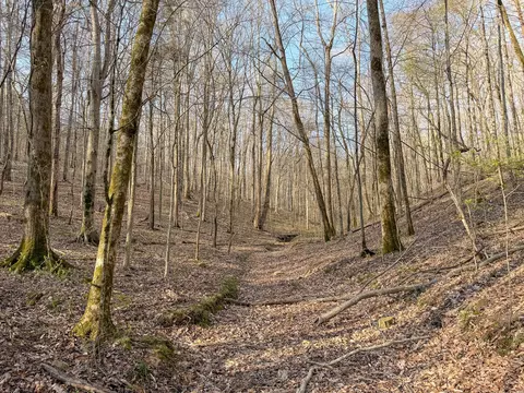 620 Piney Rd, Dickson, TN 37055 photo 27
