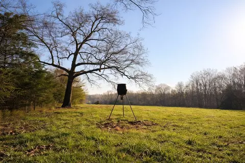 620 Piney Rd, Dickson, TN 37055 photo 7