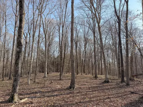 620 Piney Rd, Dickson, TN 37055 photo 23