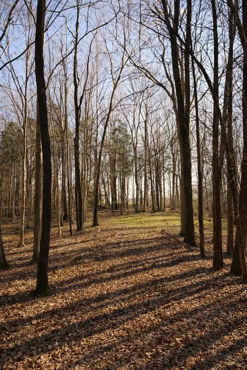 620 Piney Rd, Dickson, TN 37055 photo 13