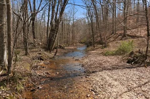 0 Cave Branch Rd, Dickson, TN 37055 photo 14