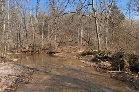 0 Cave Branch Rd, Dickson, TN 37055 photo 22