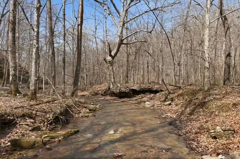 0 Cave Branch Rd, Dickson, TN 37055 photo 4