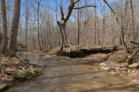 0 Cave Branch Rd, Dickson, TN 37055 photo 20