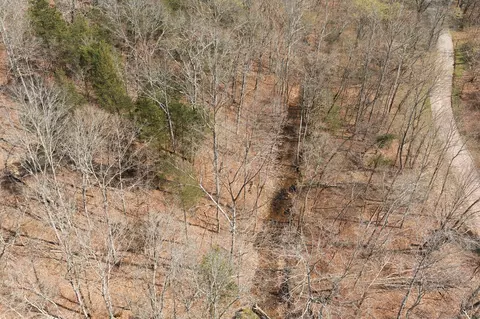 0 Cave Branch Rd, Dickson, TN 37055 photo 25