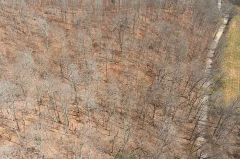 0 Cave Branch Rd, Dickson, TN 37055 photo 27