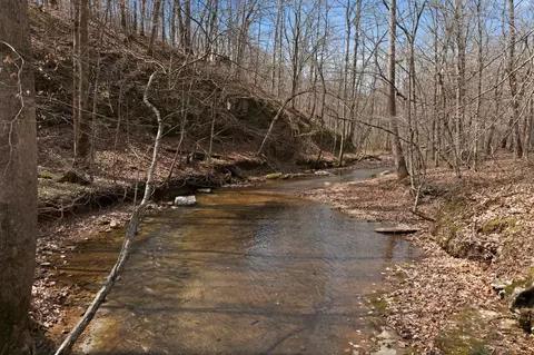 0 Cave Branch Rd, Dickson, TN 37055 photo 3